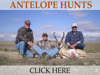 Antelope Hunting in Colorado