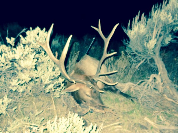 Meeker Colorado Outfitters