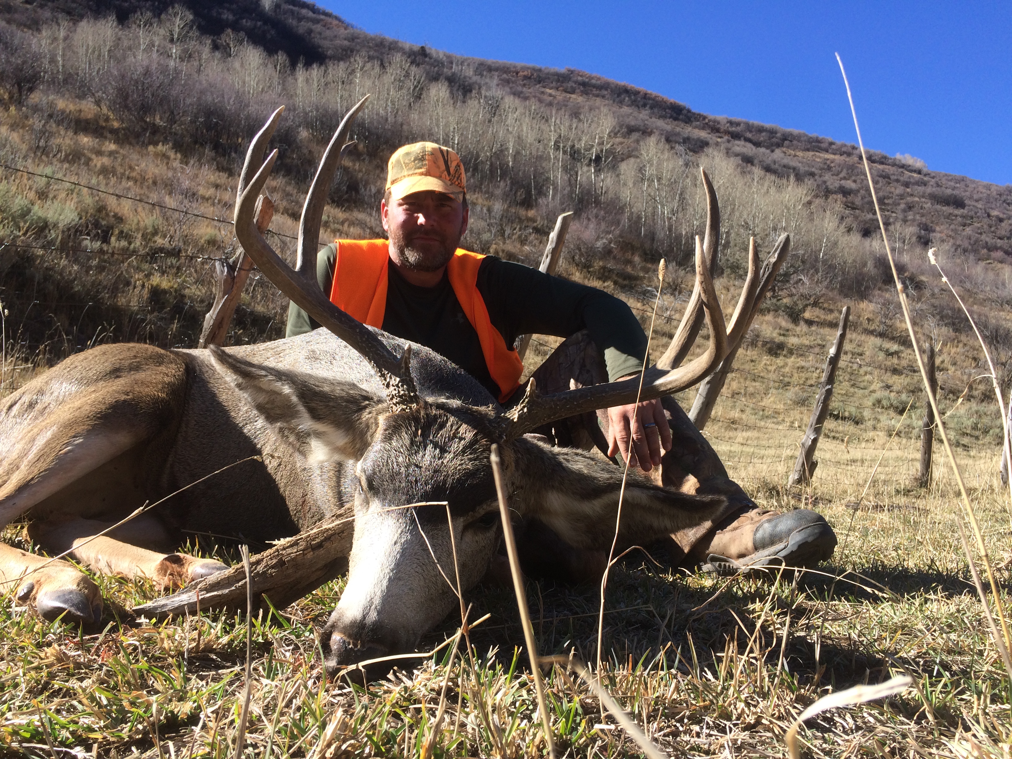 2017 Elk Hunting
