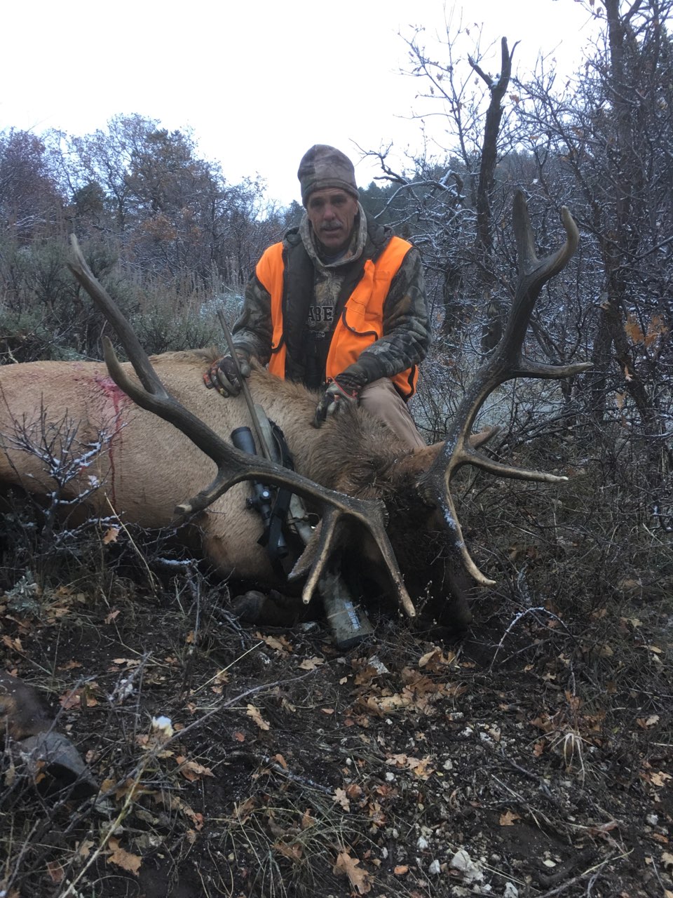 2018 Elk Hunting