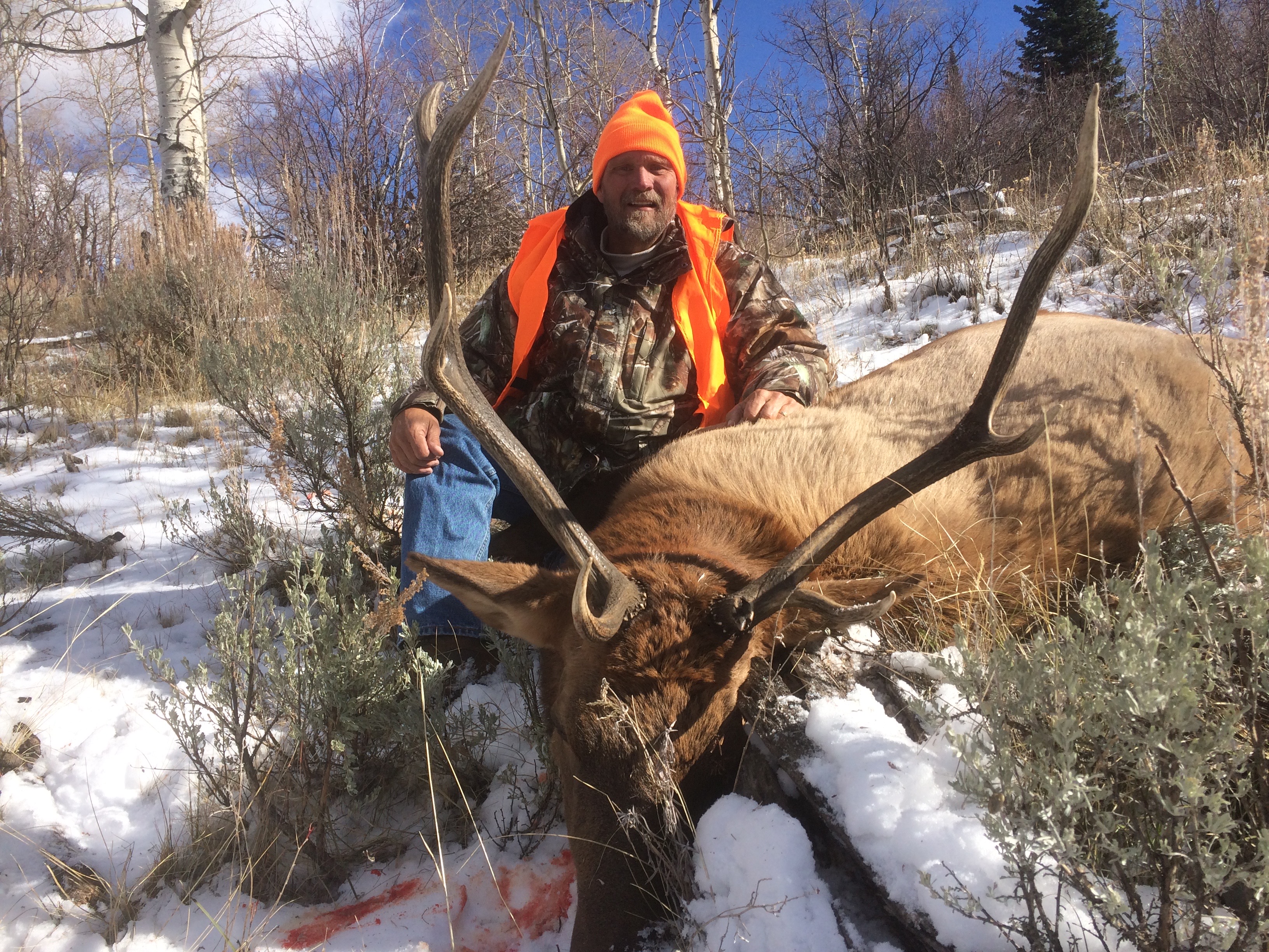 2018 Elk Hunting