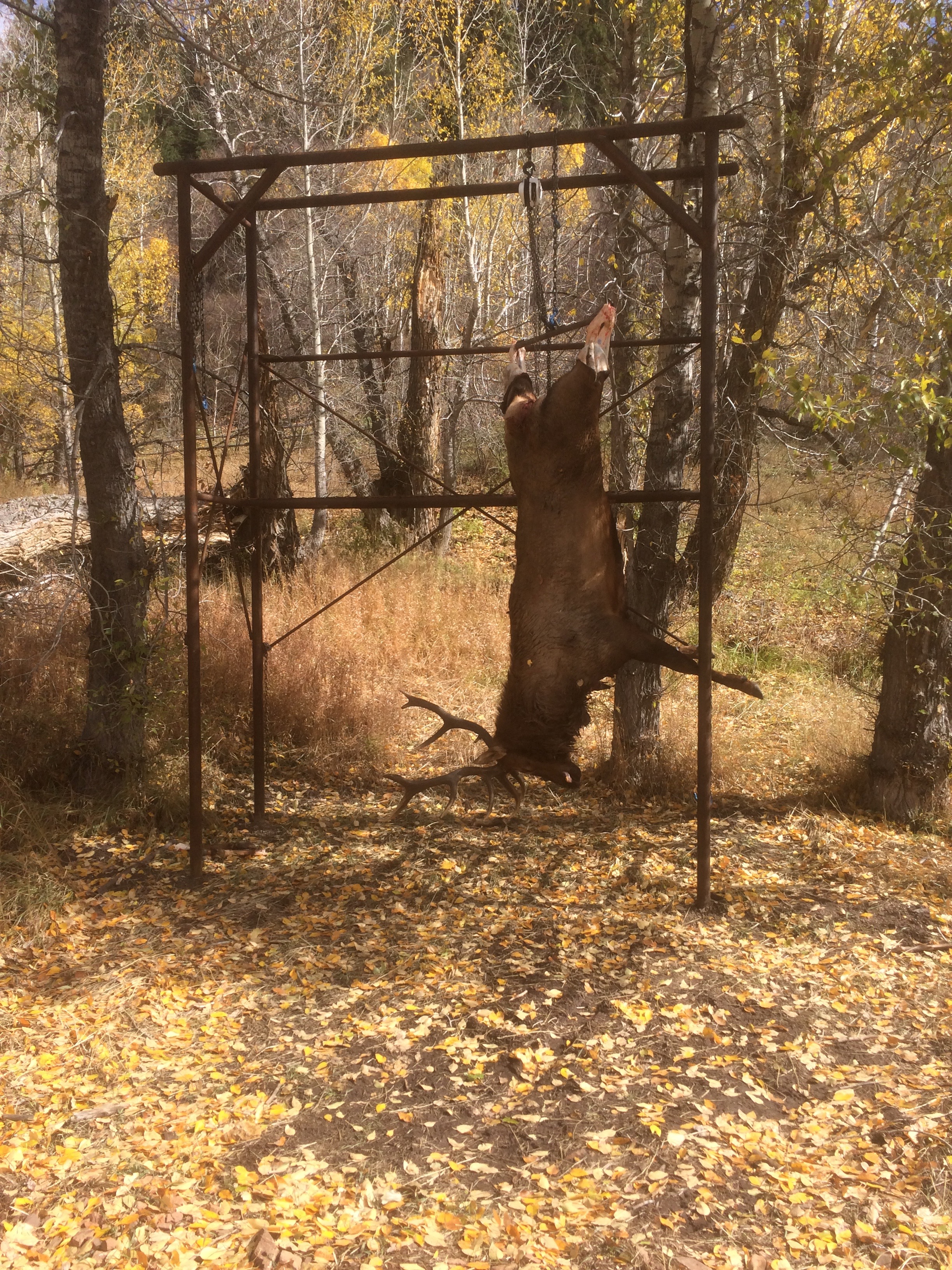 2018 Elk Hunting