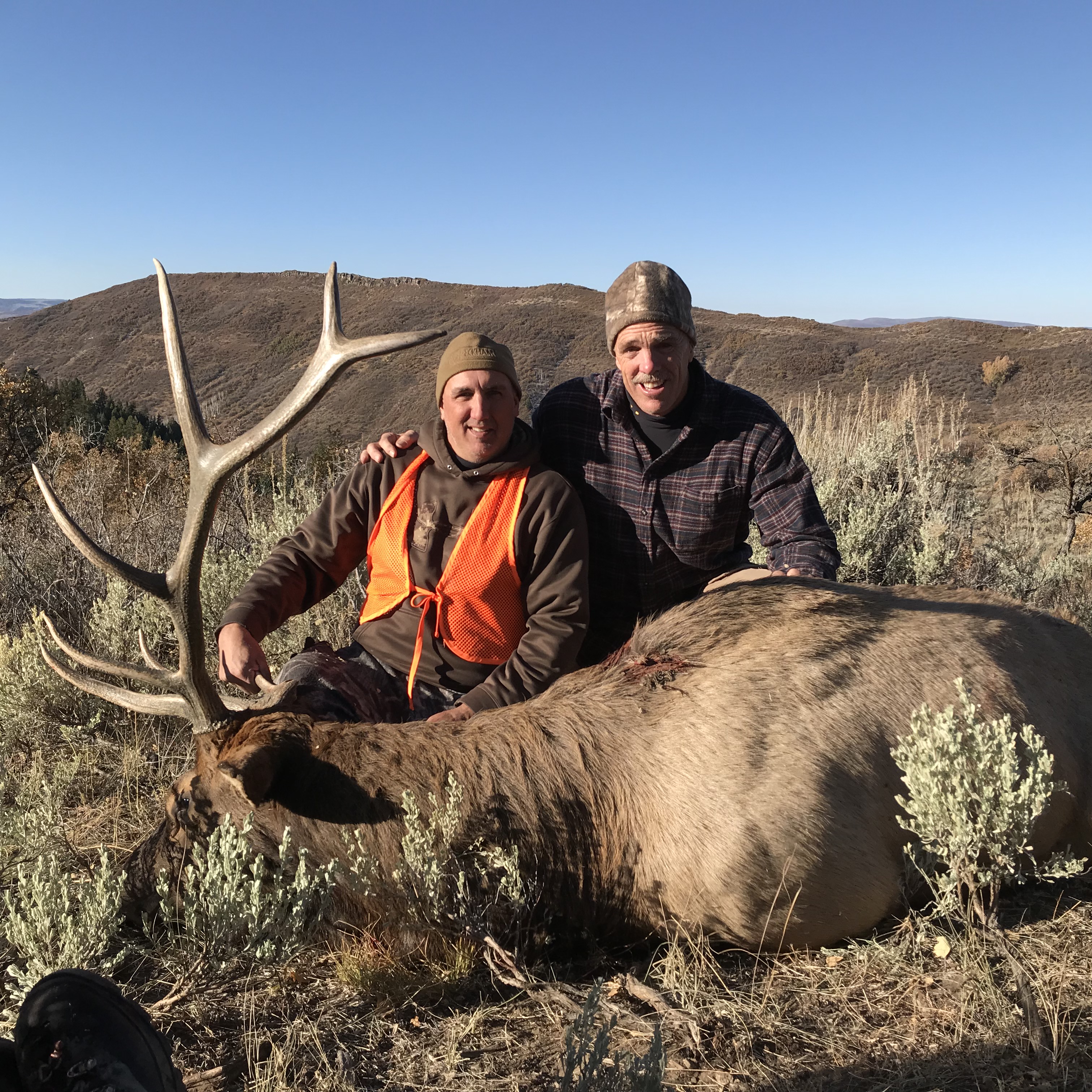 2019 Elk Hunting