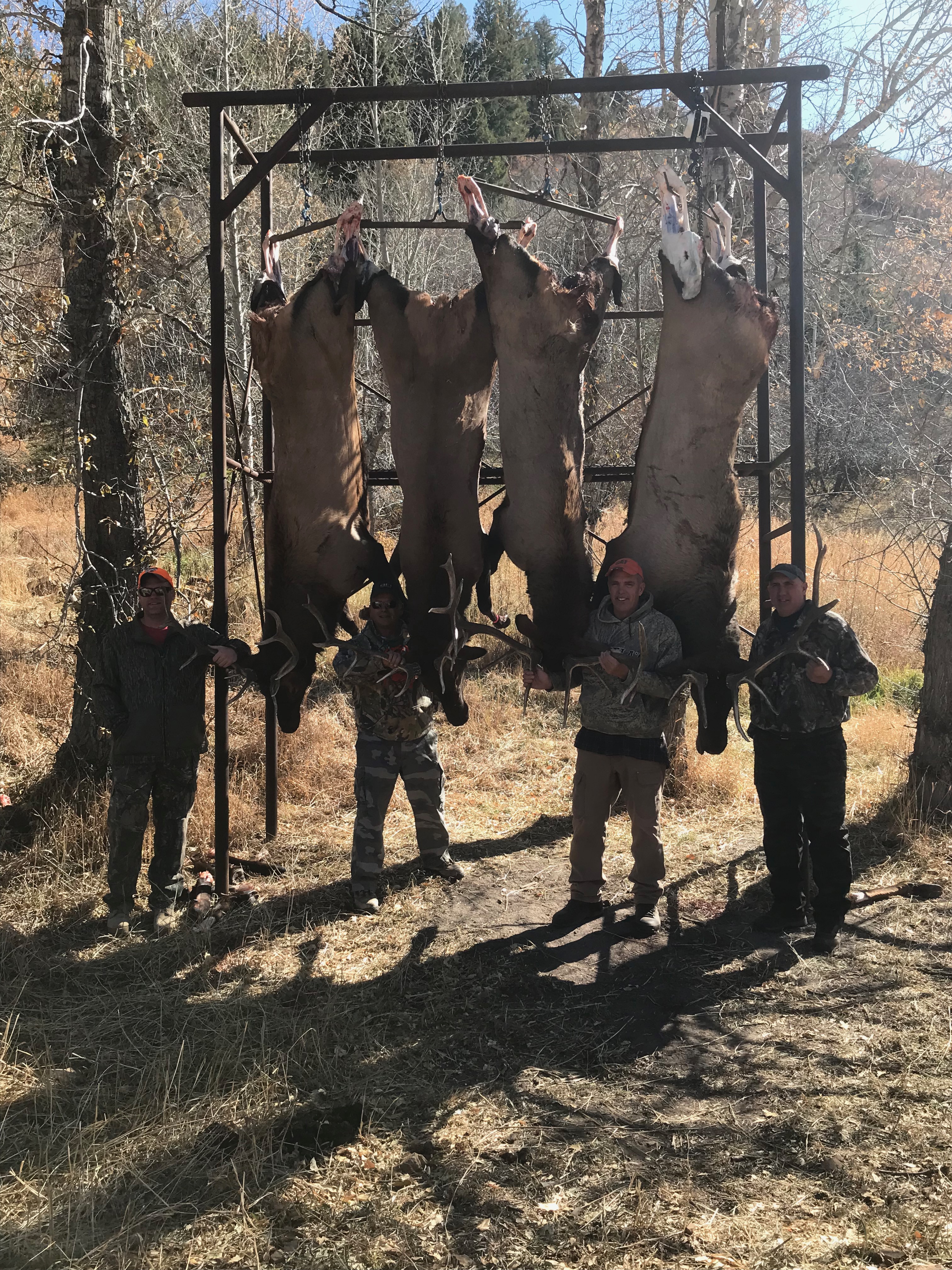 2019 Elk Hunting