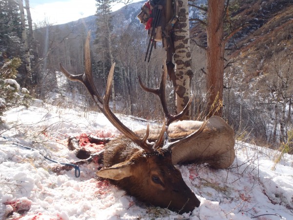 Private Land Elk Hunting