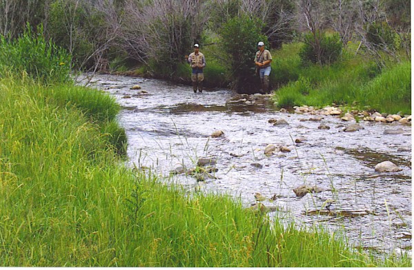 Fly-Fishing