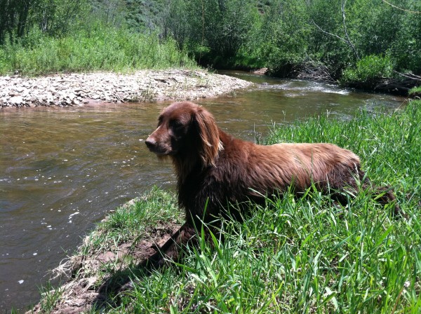 Fly-Fishing Lessons