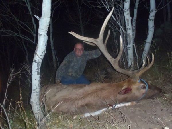 Colorado Elk Hunt
