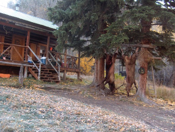 Elk-Hunting Cabin