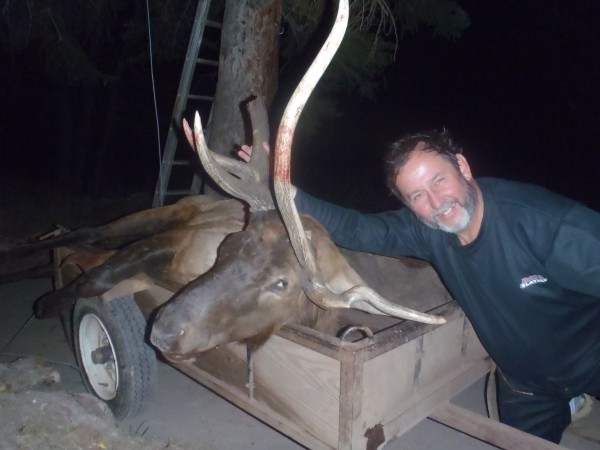 muzzle-loader elk hunt