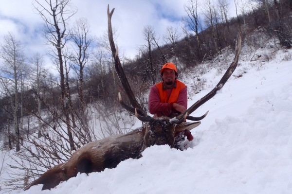 Elk Hunting Calls