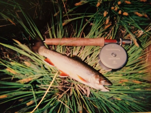 White River fly-fishing